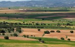 El valle del Jiloca, un espacio natural e histrico de primera magnitud en las provincias de Zaragoza y Teruel / ALC.