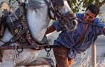 Fiestas de tiro y arrastre en Albal, Valencia / Jos Beut Duato.