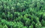 Sierra de Albarracn, Teruel / ALC.
