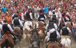 La fiesta de la Entrada de Toros y Caballos de Segorbe, en Castelln, est declarada de Inters Turstico Internacional 