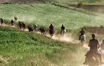 Recua de caballos en el Camino del Cid / Juan Antonio Bascn.