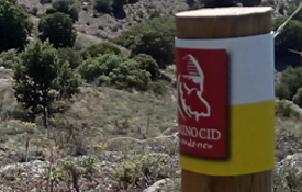 Baliza del Camino del Cid en el Anillo de Gallocanta Baliza del Camino del Cid en el Anillo de Gallocanta