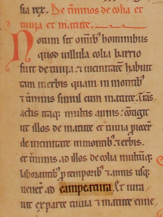 Imágenes del documento del Becerro Galicano, una del folio completo (izda.) y otra de detalle del pasaje en que se ve la palabra "campeatura" Imágenes del documento del Becerro Galicano, una del folio completo (izda.) y otra de detalle del pasaje en que se ve la palabra "campeatura"