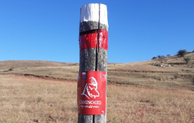Ya ha dado comienzo la campaña de revisión de la señalización del Camino del Cid Ya ha dado comienzo la campaña de revisión de la señalización del Camino del Cid
