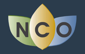 La plataforma "Naturaleza, Cultura y Ocio" del IGN incorpora el Camino del Cid La plataforma "Naturaleza, Cultura y Ocio" del IGN incorpora el Camino del Cid