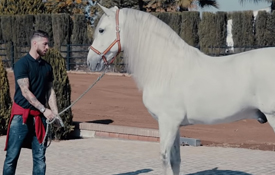 Yucatán, el caballo de Sergio Ramos, descendiente directo de Babieca (Imagen: Canal Youtube Sergio Ramos) Yucatán, el caballo de Sergio Ramos, descendiente directo de Babieca (Imagen: Canal Youtube Sergio Ramos)