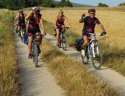 El Camino del Cid para bicicleta todo terreno BTT - MTB tiene una longitud total de 1.485 km. Está dividido en 7 rutas de entre 49 km y 313 km. Aunque en su mayor parte discurre por caminos rurales y senderos, en algunos pequeños tramos puedes encontrarte con carreteras secundarias con escaso tráfico / ALC. El Camino del Cid para bicicleta todo terreno BTT - MTB tiene una longitud total de 1.485 km. Está dividido en 7 rutas de entre 49 km y 313 km. Aunque en su mayor parte discurre por caminos rurales y senderos, en algunos pequeños tramos puedes encontrarte con carreteras secundarias con escaso tráfico / ALC.