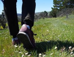 Las rutas senderistas del Camino del Cid atraviesan una España rural y poco conocida / ALC. Las rutas senderistas del Camino del Cid atraviesan una España rural y poco conocida / ALC.