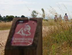 Baliza senderista del Camino del Cid. Respeta la señalización que te encuentres: dañar, tirar o cambiar una señal significa que los que vayan detrás de ti podrían perderse / ALC. Baliza senderista del Camino del Cid. Respeta la señalización que te encuentres: dañar, tirar o cambiar una señal significa que los que vayan detrás de ti podrían perderse / ALC.