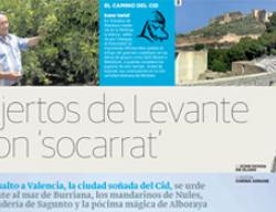 Primera página del reportaje `Injertos de Levante con Socarrat´ Primera página del reportaje `Injertos de Levante con Socarrat´