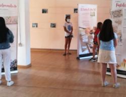 Exposición del Camino del Cid en Alcubilla de Avellaneda, Soria Exposición del Camino del Cid en Alcubilla de Avellaneda, Soria