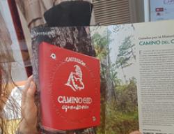 La revista Grandes Espacios, en su especial sobre la provincia de Castellón, incorpora información acerca del Camino del Cid La revista Grandes Espacios, en su especial sobre la provincia de Castellón, incorpora información acerca del Camino del Cid