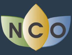 La plataforma "Naturaleza, Cultura y Ocio" del IGN incorpora el Camino del Cid La plataforma "Naturaleza, Cultura y Ocio" del IGN incorpora el Camino del Cid