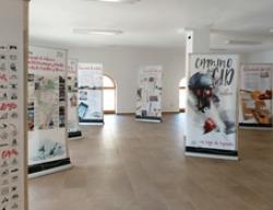 Exposición en el Ayuntamiento de Villanueva de Jiloca Exposición en el Ayuntamiento de Villanueva de Jiloca