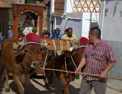 La Iglesuela del Cid, en Teruel, celebra las fiestas en honor a su patrona: la Virgen del Cid. La Iglesuela del Cid, en Teruel, celebra las fiestas en honor a su patrona: la Virgen del Cid.