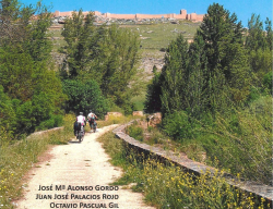 Libro Camino del Medi-Cid