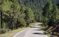 Carretera a Bezas, por los abrigos rupestres, entre Albarracín y Gea de Albarracín, para cicloturistas / ALC