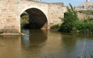 Langa de Duero bridge and tower, Soria / ALC.