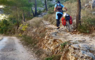 Barranc dels Tarongers. Bocairent, Valencia / ALC