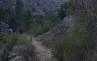Barranc dels Tarongers. Bocairent, Valencia / ALC