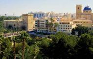 Panoramic view of Elche, Alicante / Turisme Elche.