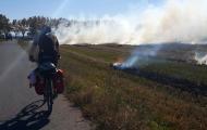 En bici por la L'Albufera. Tradicional quema de arrozales cerca de Almussafes, Valencia / ALC.