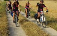 The Way of El Cid does not require specific technical skills and the routes are suitable for all MTB cyclists who are familiar with long distances. Even so, there are sections which, owing to the type of road and the ups and downs, may require cyclists to pedal harder! / ALC