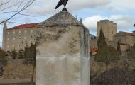 Corneja del Cantar de mío Cid en Caleruega, Burgos. ALC