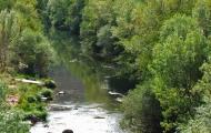 El río Arlanza, entre Hortigüela y Covarrubias, Burgos / ALC