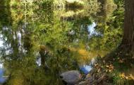 El río Arlanza. Covarrubias, Burgos / ALC