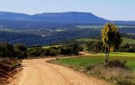 Valle del Arlanza, camino de Covarrubias / ALC 