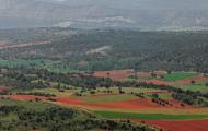 Paisaje desde el castillo de Picón de Lara.  Lara de los Infantes, Burgos / ALC