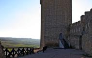 Castillo de Peñaranda de Duero, Burgos / ALC