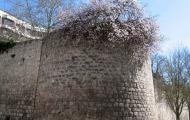 La muralla de Burgos en el Paseo de los Cubos / ALC