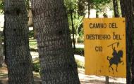 Zona recreativa de Pinarejos, en Arauzo de Miel, Burgos / ALC.