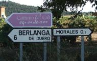 Camino del Cid por carretera, Aguilera, Soria / ALC.
