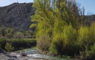 El río Abión a su paso por El Burgo de Osma / ALC 