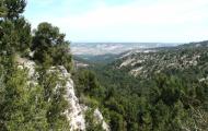 Vistas desde el paraje natural de la Virgen del Monte, cerca de Castillejo de Robledo, donde algunos autores ubican el episodio de la Afrenta de Corpes, en la provincia de Soria / ALC.