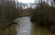 Río Duero en invierno. Langa de Duero / ALC