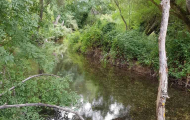 Río Dulce a su paso por La Cabrera, Guadalajara / ALC