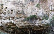 Las cuevas citadas en el Cantar de mío Cid, en Anguita, Guadalajara / ALC.