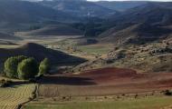 El valle de Arbujuelo, Soria / ALC.
