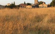 Medinaceli, Soria / ALC