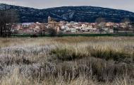Gallocanta, Zaragoza. ALC