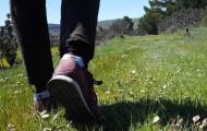 The hiking routes on the Way of El Cid offer a unique opportunity to cross Spain on foot through quiet, safe areas and to learn about the country's history and customs in a way you had never imagined / ALC.