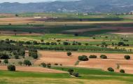 The Valley of Jiloca, provinces of Saragossa and Teruel / ALC.