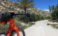 Cerca de Elche, Alicante / Timo Rokitta