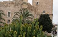 Castillo palacio de Altamira, antigua alcazaba árabe de Elx - Elche, Alicante / ALC.