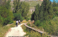 Libro Camino del Medi-Cid