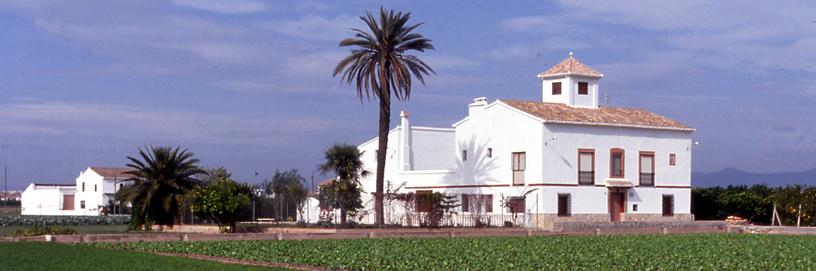 Huerta de Alboraya, Valencia.